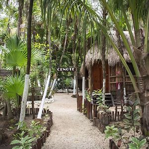 Hotel Maya Cabanas Y Cenote Tulum